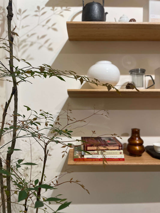 Moonlit blooms | Tea experience - Bloomnbrew