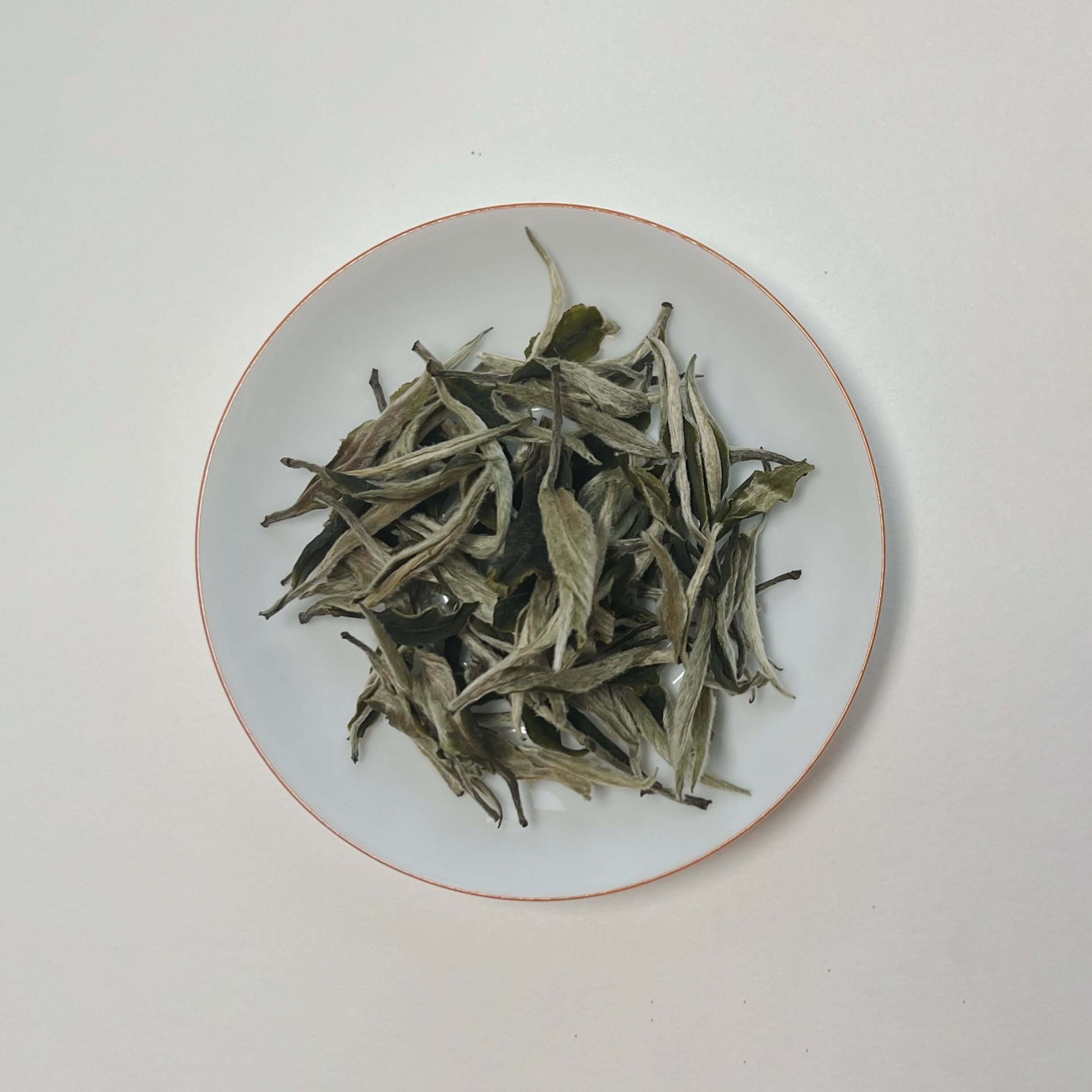 White tea. Loose leaf. Silver buds. Yunnan gushu. Blanc
