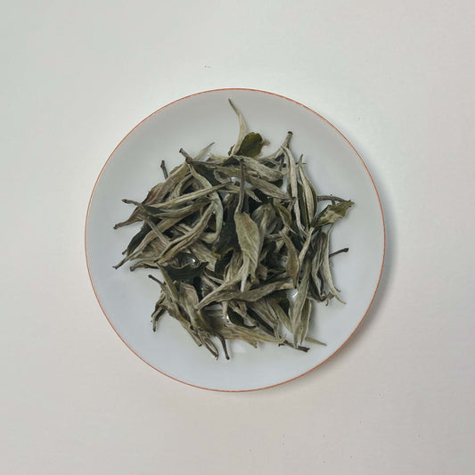 White tea. Loose leaf. Silver buds. Yunnan gushu. Blanc