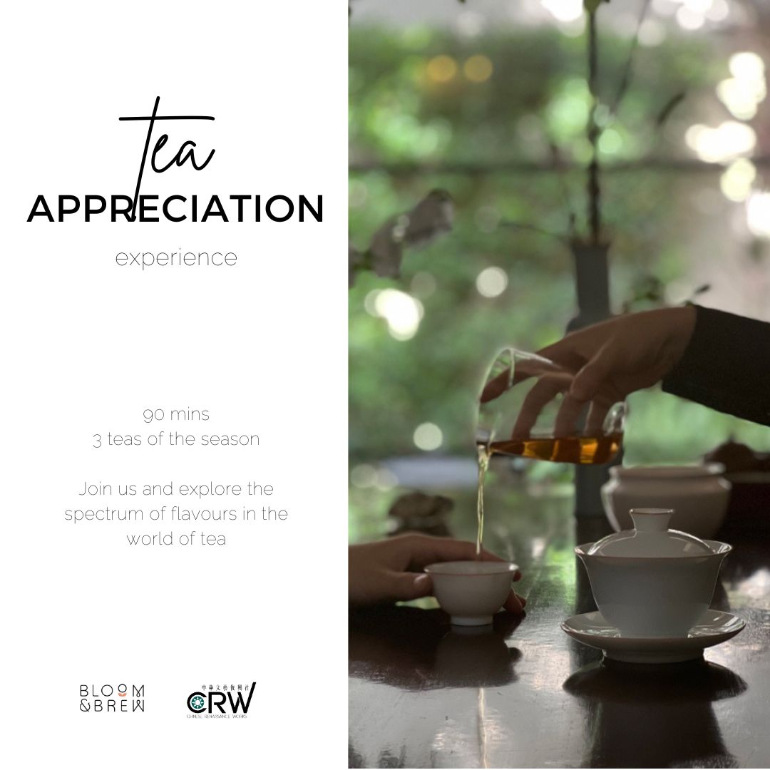 Tea Experience Tea appreciation | Tea workshop & Experiences