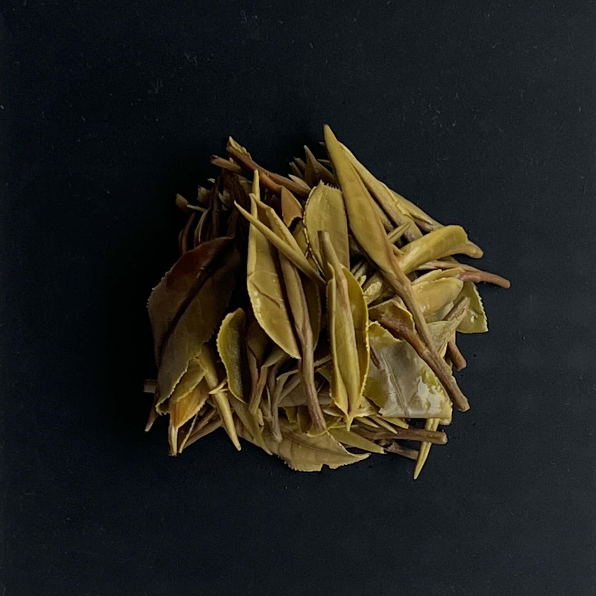 White tea. Loose leaf. Silver buds. Yunnan gushu. Blanc